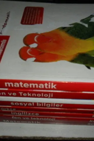 7.Sınıf SBS Hazırlık Seti / 8 Adet