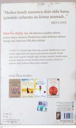 Rumi'nin Bildiği Aşk Serdar Özkan Artemis Yayınları