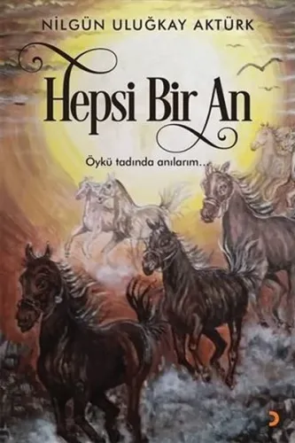 Hepsi Bir An