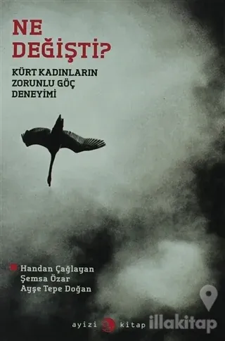 Ne Değişti?
