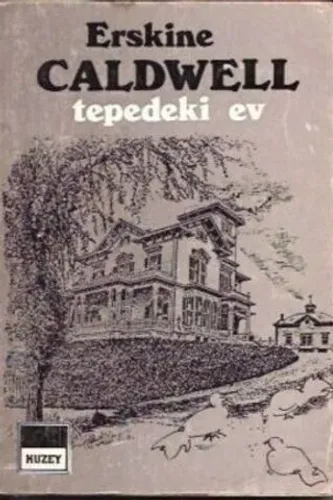 Tepedeki Ev