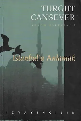 İstanbul'u Anlamak