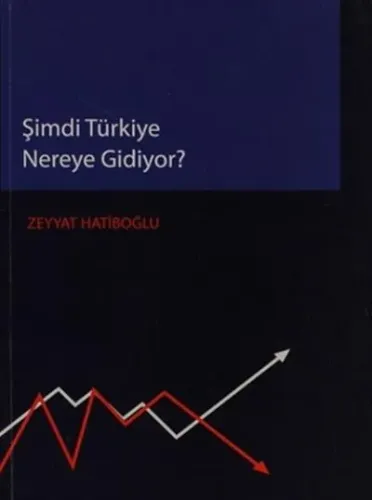 Şimdi Türkiye Nereye Gidiyor