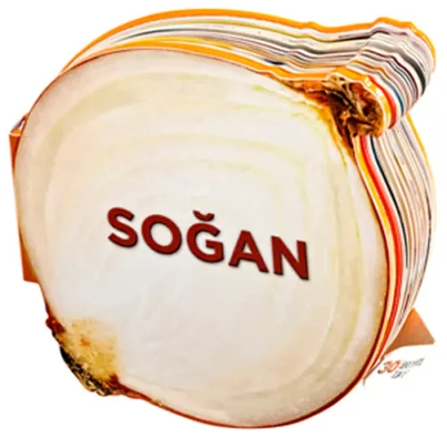 Soğan / Lezzetli Magnetler