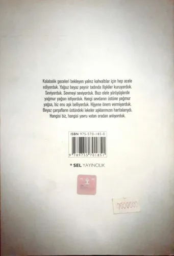 Hijyenik Aşklar Yılmaz Erdoğan Sel Yayıncılık