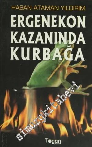 Ergenekon Kazanında Kurbağa -