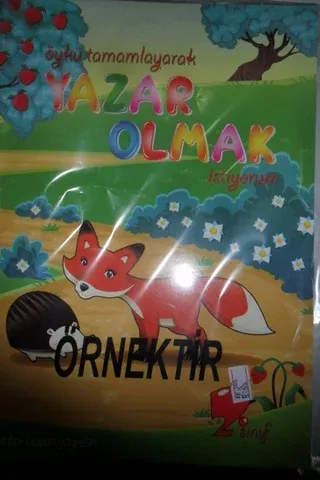 Öykü Tamamlayarak Yazar Olmak İstiyorum 2. Sınıf