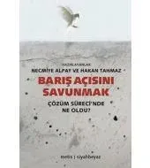 Barış Açısını Savunmak: Çözüm Sürecinde Ne Oldu?