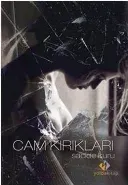 Cam Kırıkları