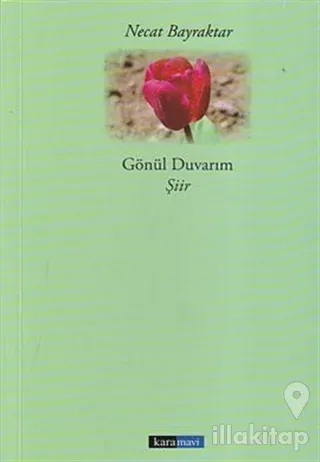 Gönül Duvarım