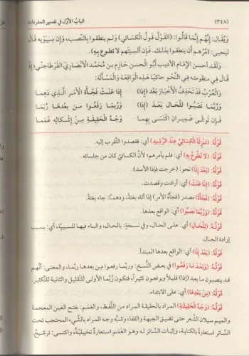 Haşiyetud Dusuki Ale Muğnil Lebib An Kutubil Earib 1-3 حاشية الدسوقي ع