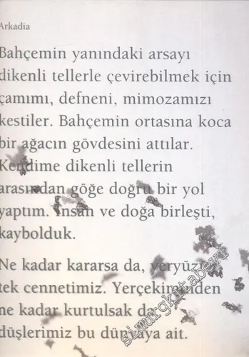 Arkadia -