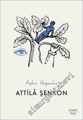 Aykırı Üçgenler -