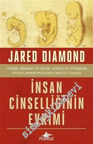 İnsan Cinselliğinin Evrimi - 2019