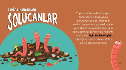 Ormanın Yaşam Döngüsü-Mini Kitap