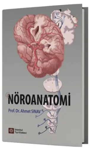 Nöroanatomi