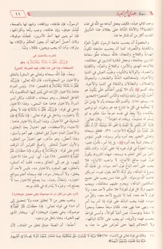 Zadul Mead Fi Hedyi Hayril ibad ibni Kayyım - زاد المعاد في هدي خير ال