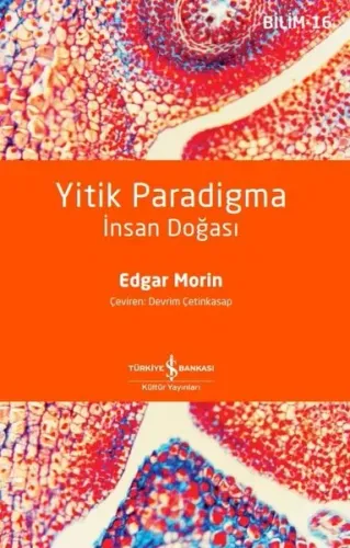 Yitik Paradigma – İnsan Doğasi
