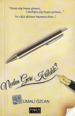 Neden Geri Kaldık