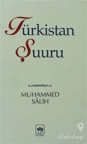 Türkistan Şuuru