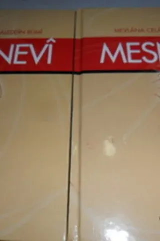 Mesnevi / 2 Cilt Takım