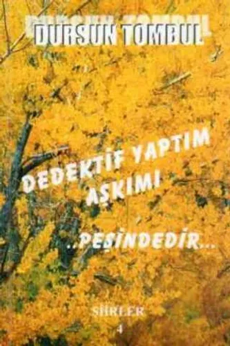Dedektif Yaptım Aşkımı Peşindedir