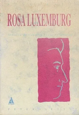 Rosa Luxemburg Almanya'da Hapislik Rusya'da Devrim 2. Cilt Tek Kitap