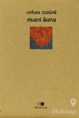 Mavi Kara