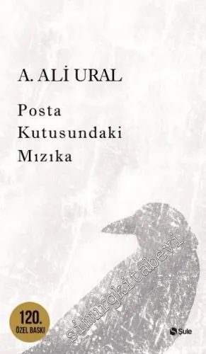 Posta Kutusundaki Mızıka CİLTLİ