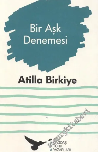 Bir Aşk Denemesi  -