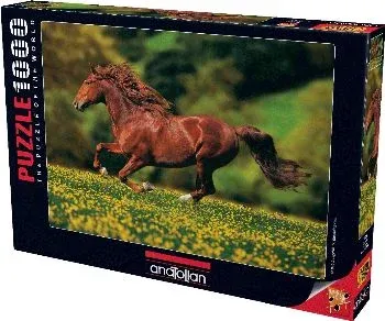Özgürlük (Puzzle 1000) 1026