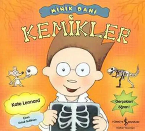 Minik Dahi; Kemikler