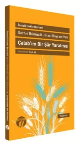 Çalab'ım Bir Şar Yaratmış; Şerh-i Rümuzat-ı Hacı Bayram Veli