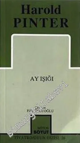 Ay Işığı