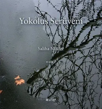 Yokoluş Serüveni Saliha Nilüfer