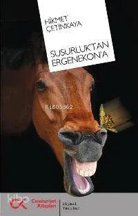 Susurluk´tan Ergenekon´a