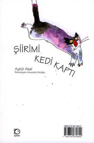 Şiirimi Kedi Kaptı---7+
