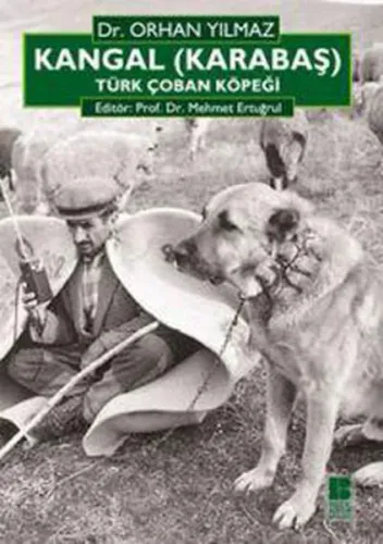 Kangal (karabaş); Türk Çoban Köpeği