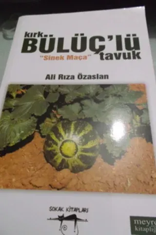 Kırk Bülüç'lü Tavuk