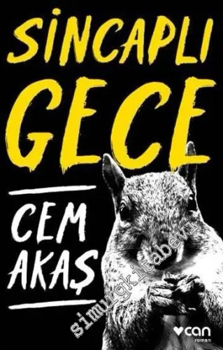Sincaplı Gece -         2016