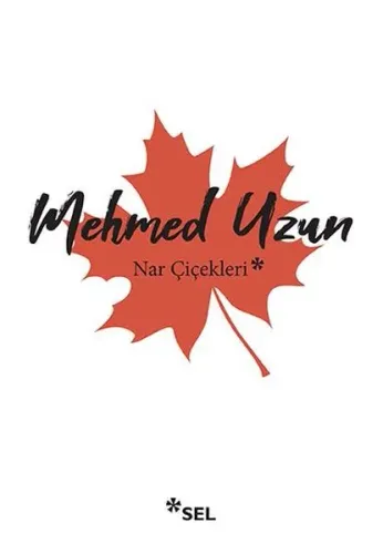 Nar Çiçekleri: Çok Kültürlülük Üstüne Denemeler