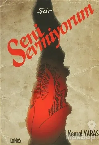 Seni Sevmiyorum