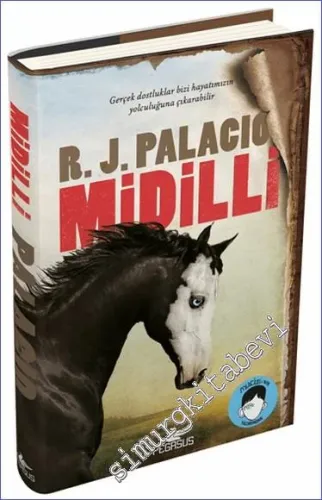 Midilli -         2023