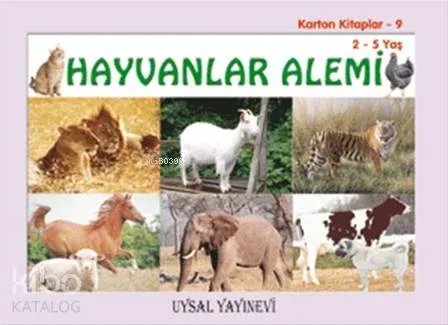 Karton Kitaplar - 9 - Hayvanlar Alemi