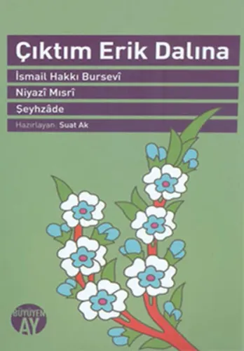 Çıktım Erik Dalına