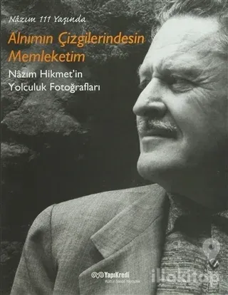 Alnımın Çizgilerindesin Memleketim
