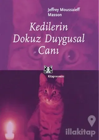 Kedilerin Dokuz Duygusal Canı