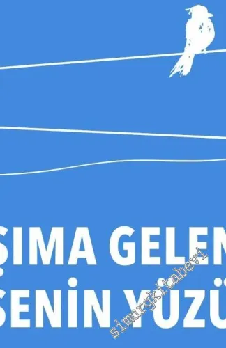 Başıma Gelenler Hep Senin Yüzünden -