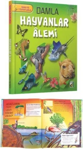 Hayvanlar Alemi (3. 4. Sınıflar İçin)