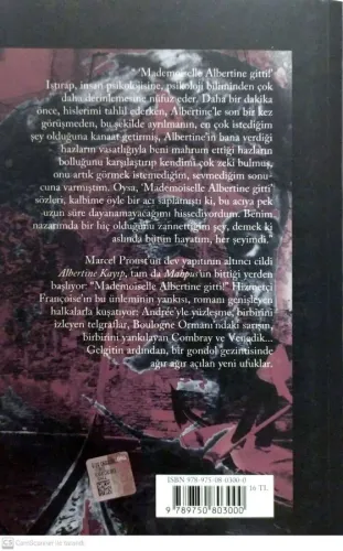 Albertine Kayıp/Kayıp Zamanın İzinde Marcel Proust Yapı Kredi Yayınlar